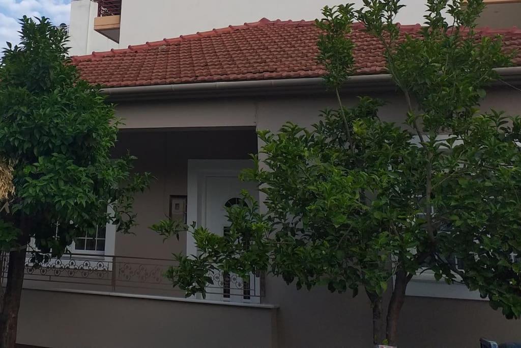 Aggeliki'S Place Detached Home With Yard/Parking 沃洛斯 外观 照片