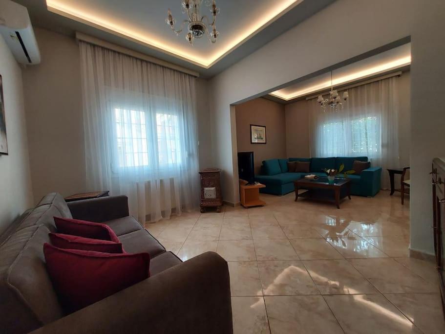 Aggeliki'S Place Detached Home With Yard/Parking 沃洛斯 外观 照片